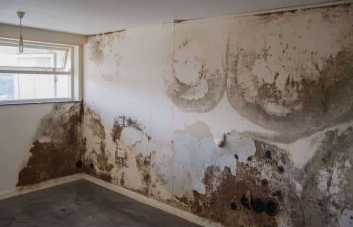 Sơn Dulux chống nấm mốc